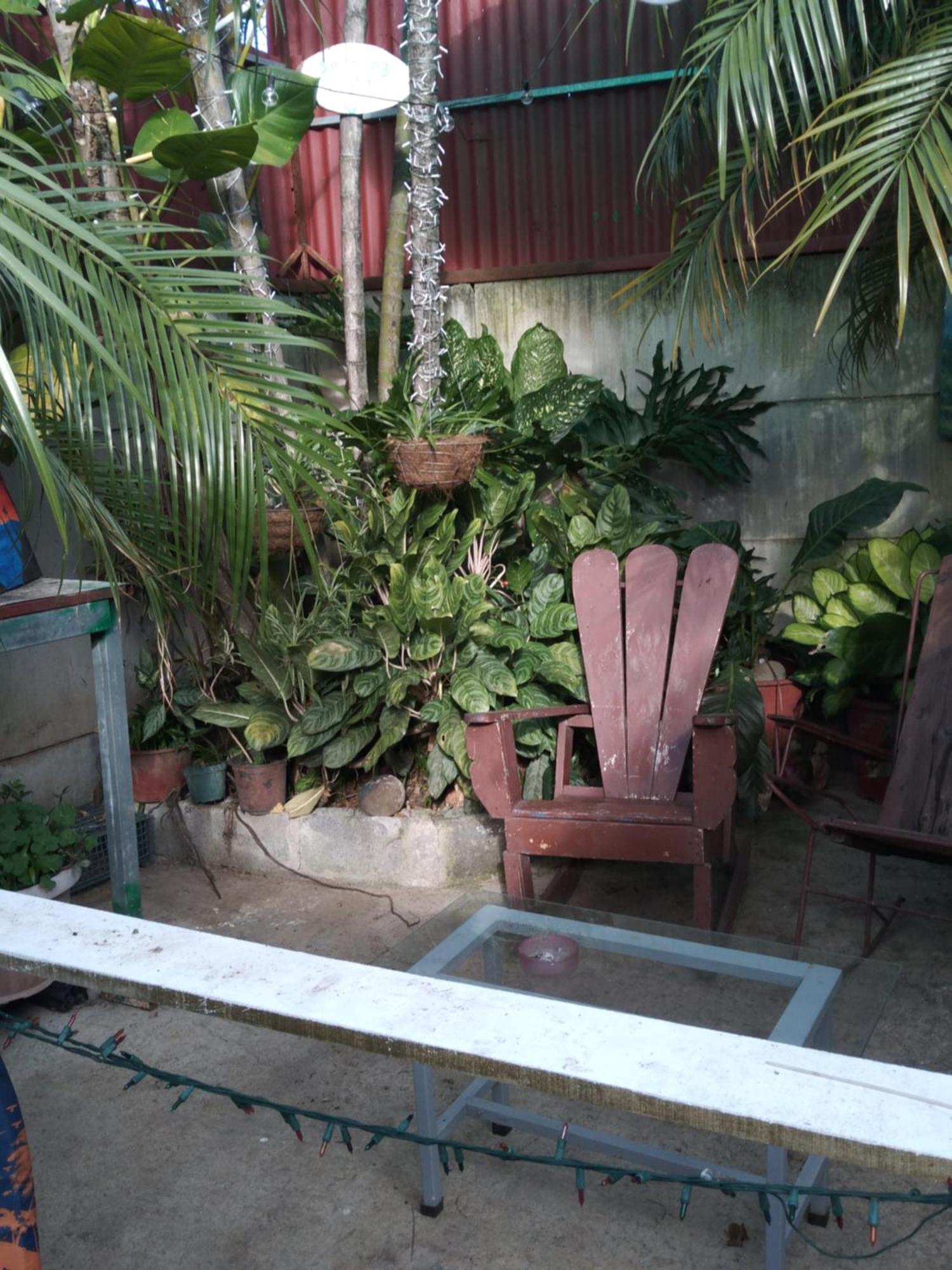 Alexander B&B Alajuela Exterior photo